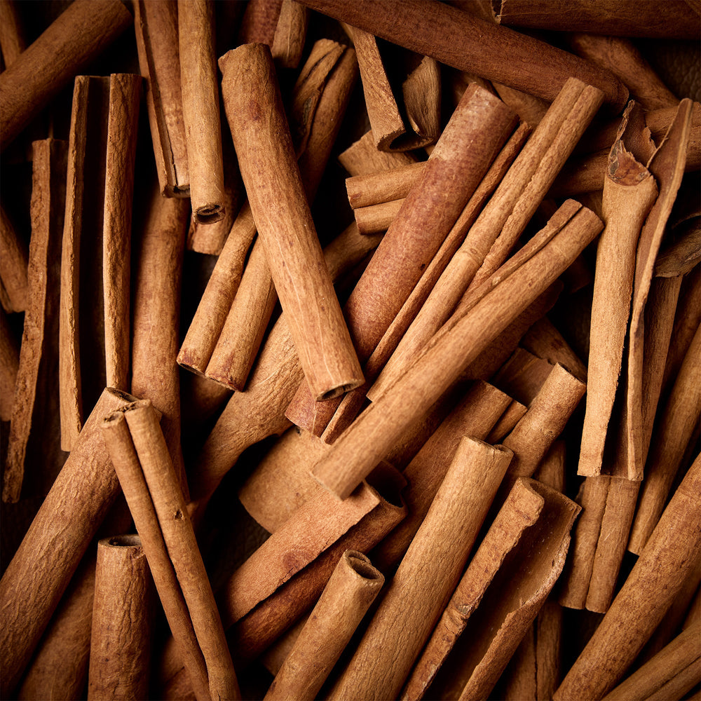 Oudgasm Chocolate Oud | 11 - Image 7